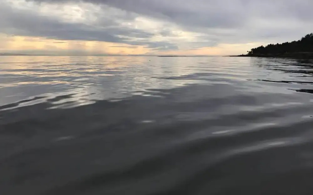Silva Bay B&B