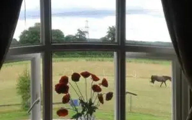 Meadow Farm Cottage
