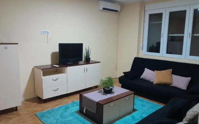 Cozzy and Centrally Located Apartment Vracar