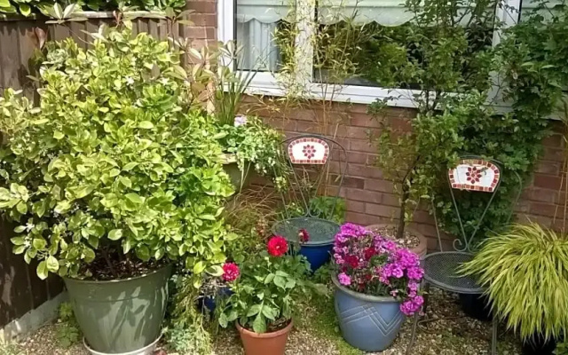 The Peels B&B