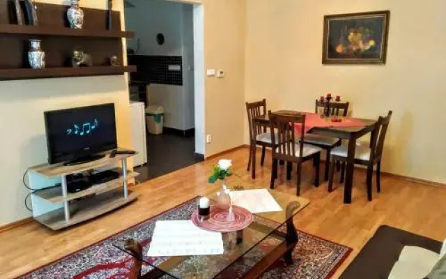 Apartment Sense of Zizkov