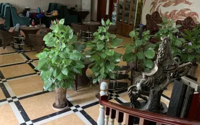 Panzhihua Kaidikangyang Hotel
