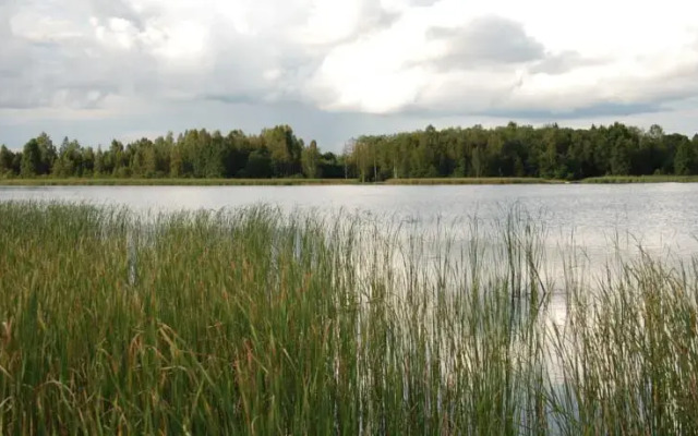 Mäeotsa Puhketalu