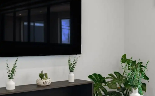 Amazing 2BR Apt in Roma Norte - Yoga Room
