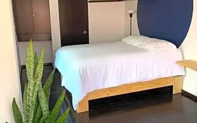 The Reef House Condesa