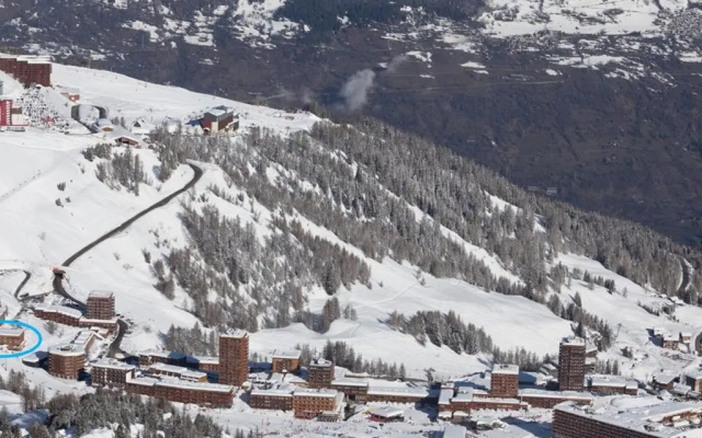Appartement La Plagne, 2 pièces, 4 personnes - FR-1-455-66