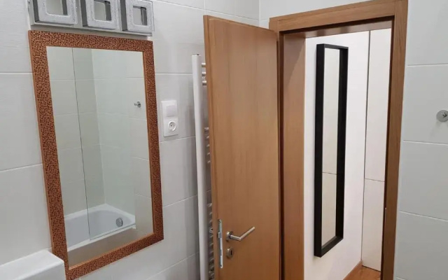 Renaissance Studio Apartment