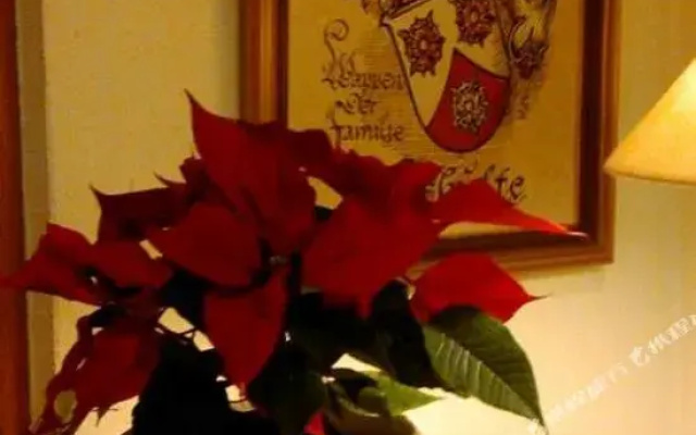Gasthaus Schulte