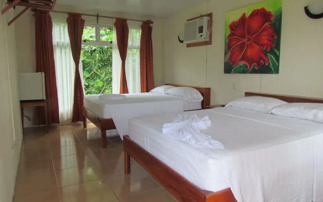 Eco Arenal Hotel