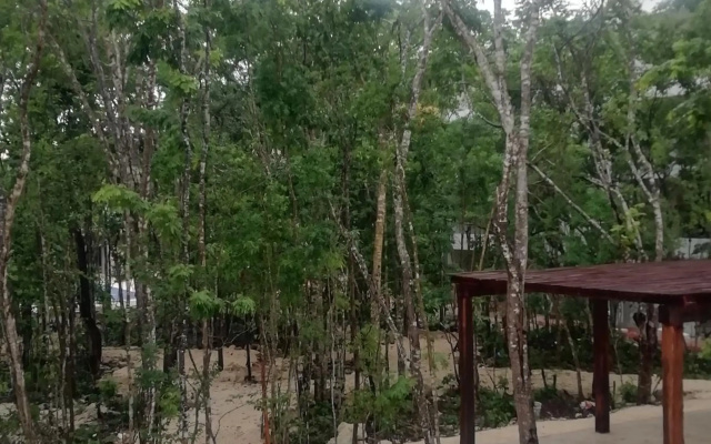 Condo Residencial Selvanova VIII