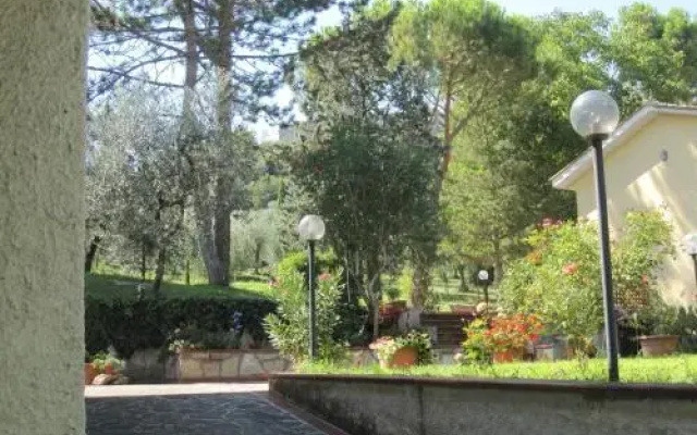Valle degli Ulivi