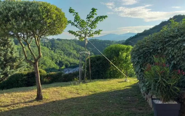 Wine Passion Panoramic