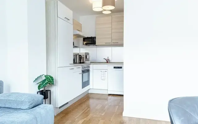Stylish 1BR 1LR Vienna Center Homes
