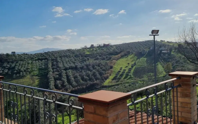 La Vigna di Ranco Ltd N3352
