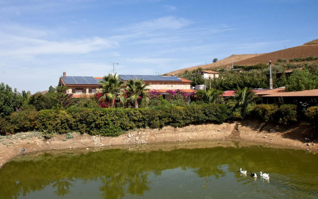 Villa in Alia With Pool & Olive Views