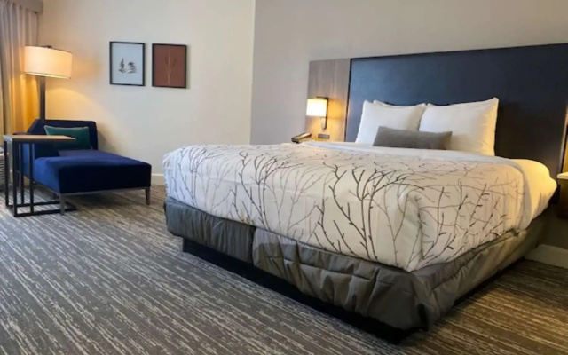 The Timbers An All Suite