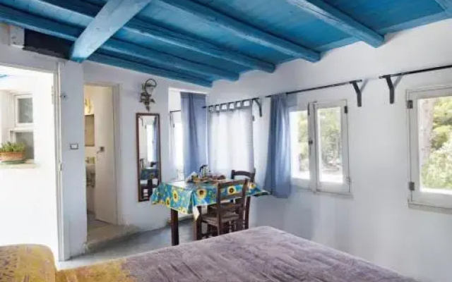 Attic iolanda