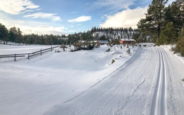 Beautiful Home in Tynset With 3 Bedrooms and Wifi
