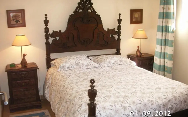 Casa das Camélias - I.B.G. HOME
