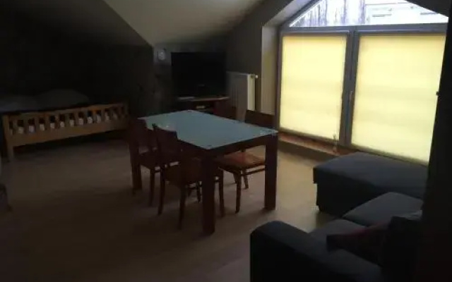 Sokół