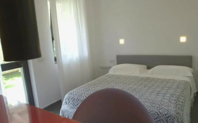 Giacaranda