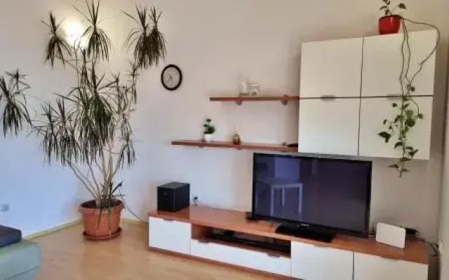 Apartments Gajo