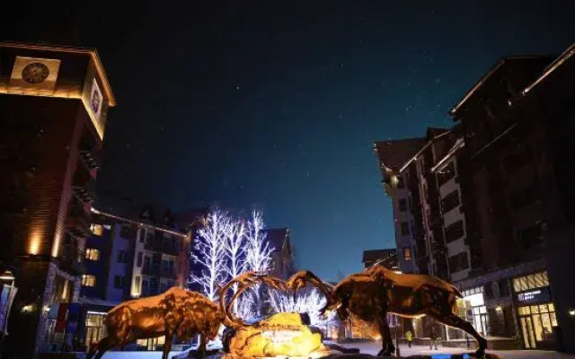 Fenghua Apartment (Jilin Vanke Songhua Lake Resort)