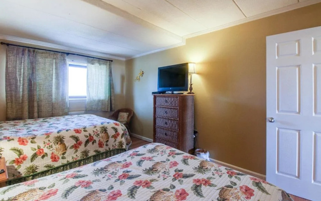 Constellation House