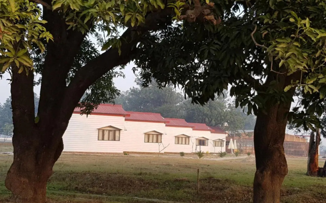 Living Green Farms