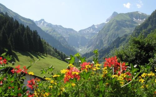 Ferienparadies Spielmannsau