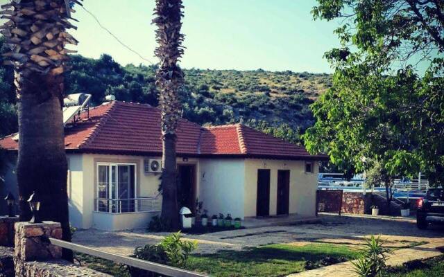 Flower Pension Hotel вид на фасад