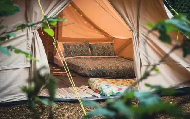 Wood Cabin & 4 Large Bell Tents - Hapus Hideaway