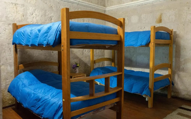 Lion AQP hostel