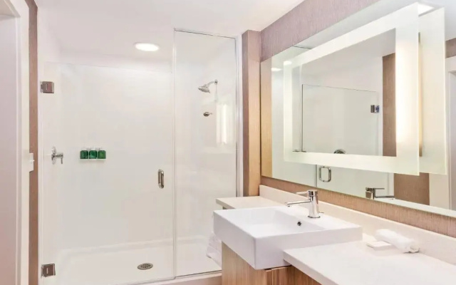 SpringHill Suites by Marriott Montgomery Prattville/Millbrook