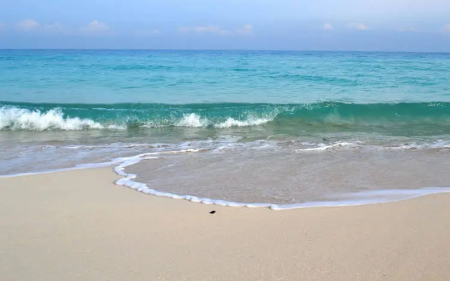 Aida Beach Resort Serviced Apartments