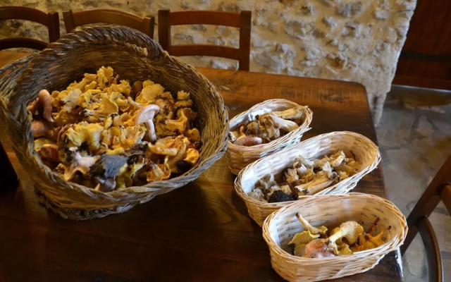 Agriturismo Surripa