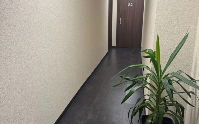 Capitol Zentrum - 24h -
