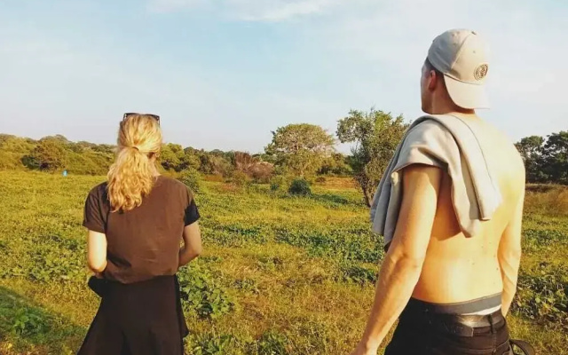 Yala Wild Hut