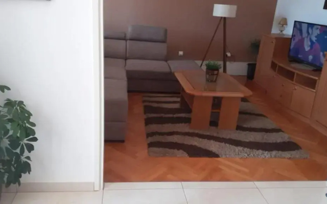 Apartment Viki