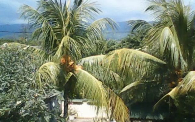 Lovina Green Villa