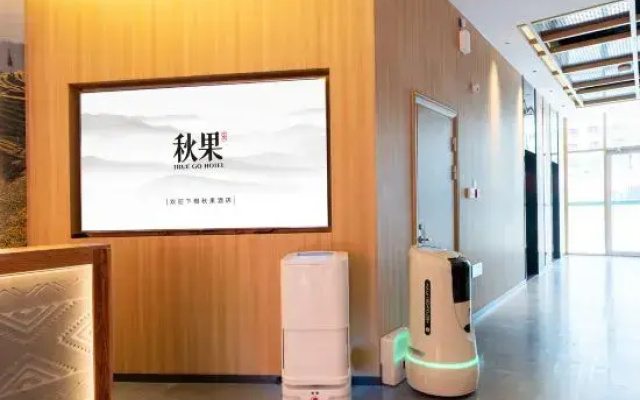 TRUE GO Hotel (Zibo Wanda Plaza Qishenghu Park)