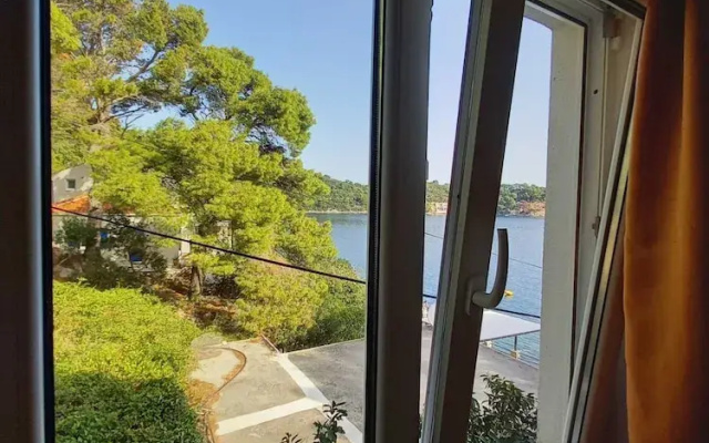 Apartments Vinko Mljet- One-bedroom Apartment With Terrace
