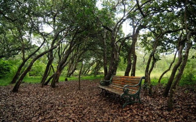 Leshiba Wilderness