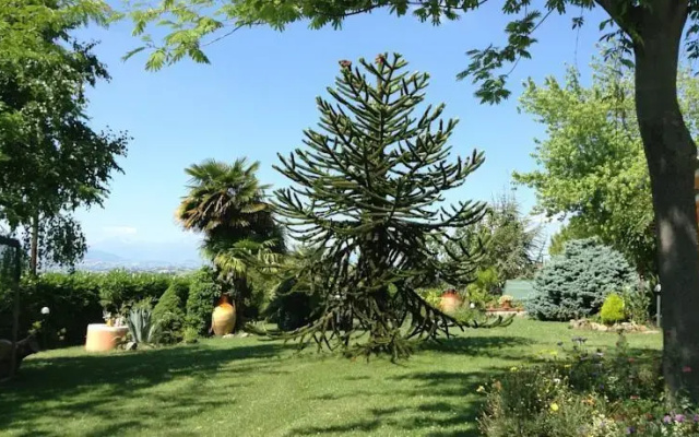 Profumi Di Collina