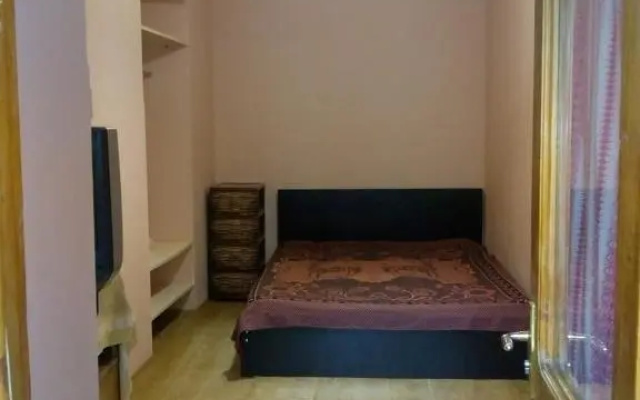 Guesthouse In The Downtown Borjomi