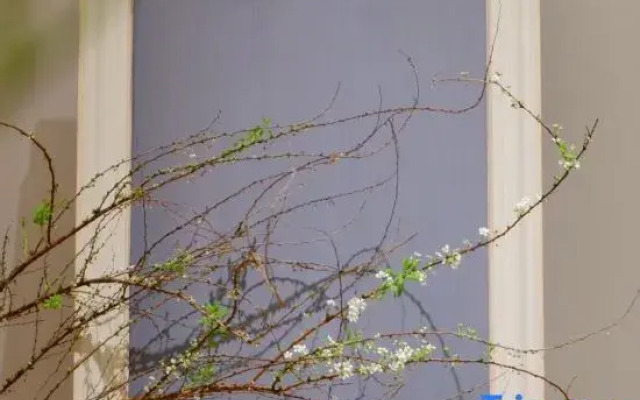 Ruomu Homestay (Jianshui Ancient Town)