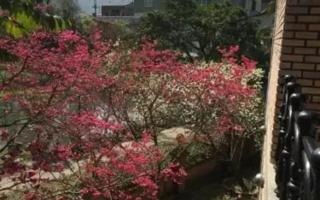 Yu Ho Yuan Lesiure Homestay