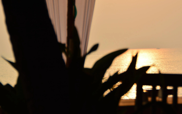 Roundcube Beach Bungalows