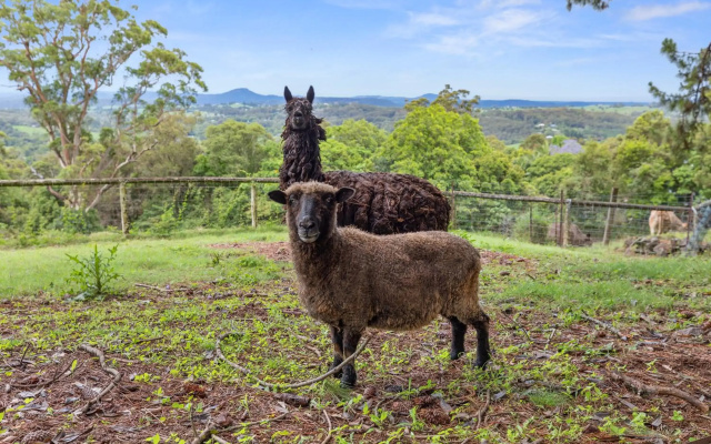 Serendipity Farm