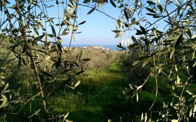 B&B Ca de Pippu